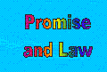 Promise and Law