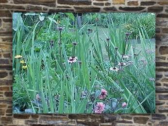 side garden