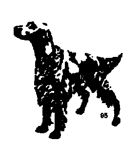 setter2.gif (2386 bytes)