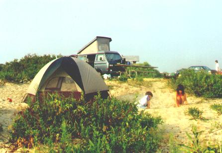 Assateague Island, MD