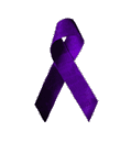 anti horse abuse ribbon