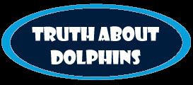 The Truth About Dolphins