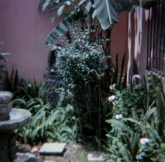 El jardn