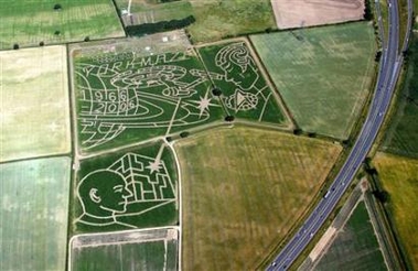 England Wheat Field