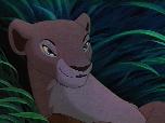 [Picture of Nala]