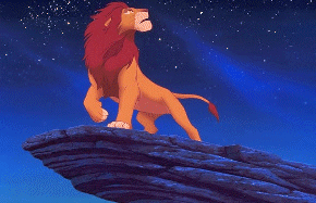 Simba,It is time.