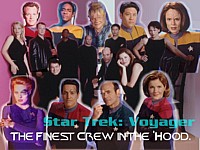 Voyager(gang)