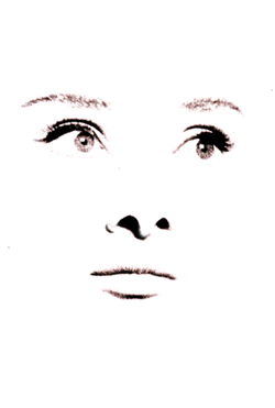 face2.gif (6862 bytes)