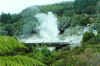 The geysers erupting at Rotorua Thermal Park