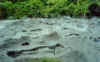 Boiling mud pools