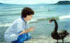 Mum talking to a black swan on the lake shore