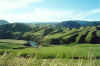 The green rolling hills between Taupo and Napier