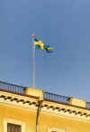 The Swedish Flag