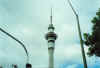 The Sky Tower, a free-standing concrete tower taller than Centrepoint in Sydney