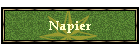 Napier