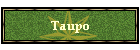 Taupo