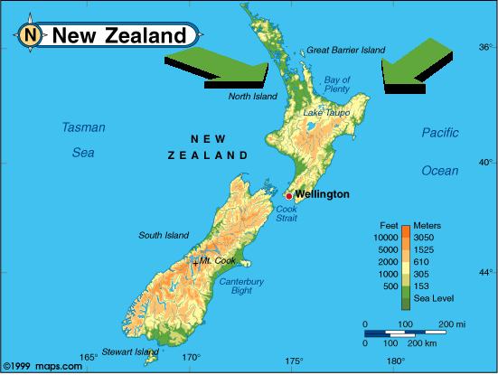 nz.gif (36175 bytes)