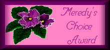 Meredy's Choice Award