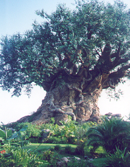 Tree of Life