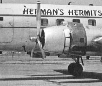 HermansHermPlane.jpg (12267 bytes)