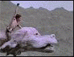 Atreyu riding Falkor