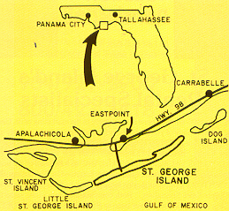 Florida and St. George Island map