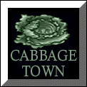 Cabbagetown Toronto Ontario