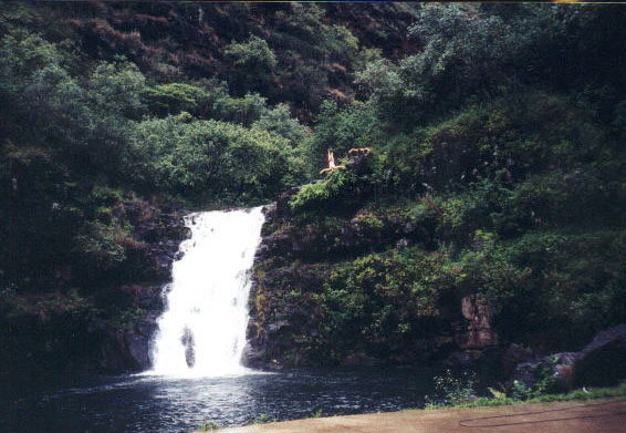 Waimea Falls Park