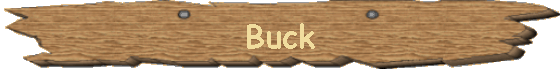 Buck