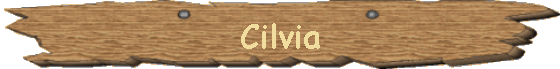 Cilvia