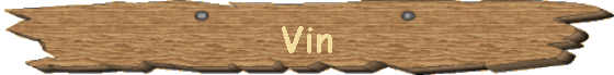 Vin