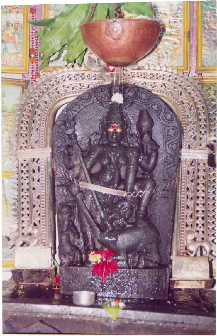 Shri Devi Navadurga of Redi