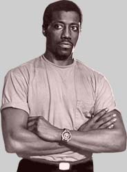 Wesley Snipes.jpg (7861 bytes)