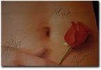 American Beauty poster autographed by Wes, Thora Birch and Mena Suvari. Offered by Dreamworks at an auction.