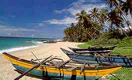 Catamarans on the beach