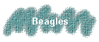 Beagles