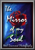 The Mirror of my Soul