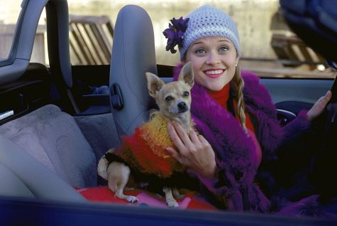 Witherspoon with Chihuahua