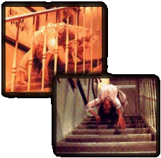 Pics from the spiderwalk scene.