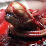 [ChestBurster]