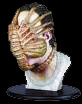 [FaceHugger]