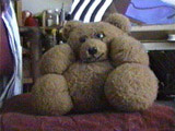 teddy bear