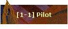 [1-1] Pilot