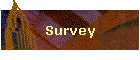 Survey