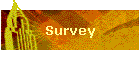 Survey