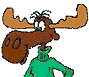 [moose]