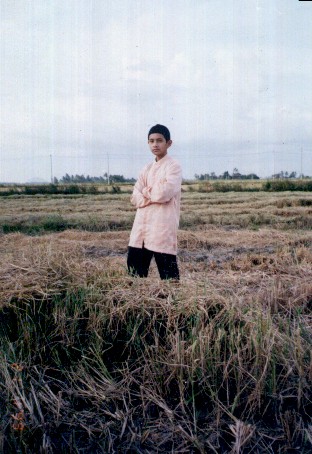 Gambar di sawah padi