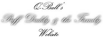 Q-Ball's Puff Daddy & the Family Website