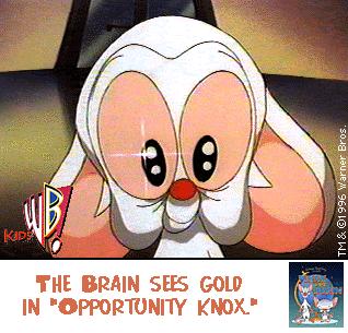 brain sees gold