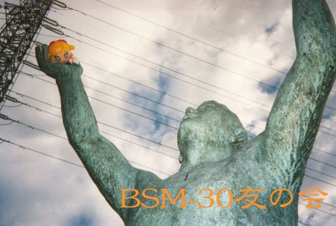 BSM-30F̉